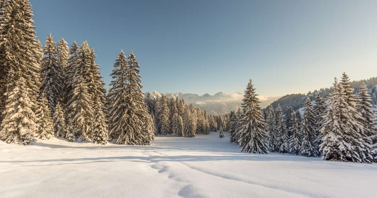 So schön ist Winter in der Schweiz - Ferienregion Heidiland – DE