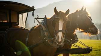 Rössliposcht Maienfeld