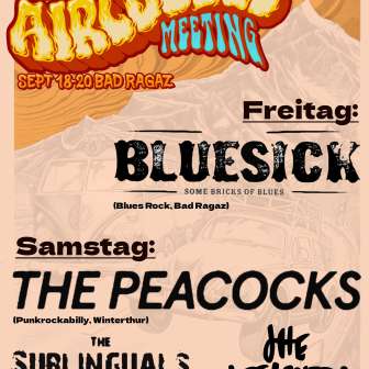 Mountain Aircooled Meeting 2026 bands(1) 1
