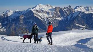 Pizol, Schnee, Laufböden, Hund, Winterwandern, Alphorngruppe Pardiel