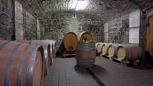 Barriquekeller vom Weingut Gonzen