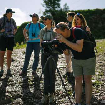 Murmeltiere beobachten © Kevin Wildhaber