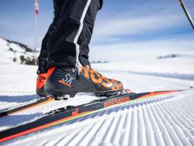 Paar, Schnee, Langlaufen, Skating