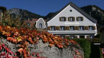 Weingut Donatsch & Winzerstube "zum Ochsen" Weingut Donatsch & Winzerstube "zum Ochsen"