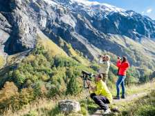 Batöni, Steinwild, Weisstannen, Wildlife Watching, Wildtier, Wildtier Touren, Wildtiertouren