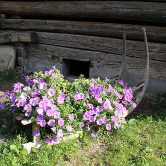 Familie Willi-Kühne