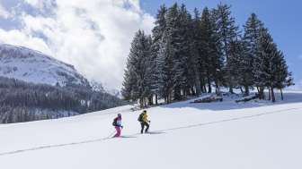 Schneeschuhwanderung im Sorglospaket Schneeschuhwanderung im Sorglospaket