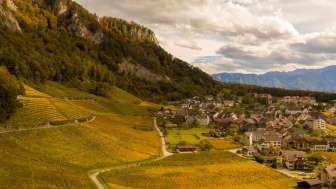 Weinberg Fläsch © Heidiland Tourismus