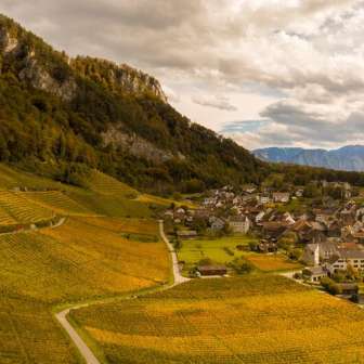 Weinberg Fläsch © Heidiland Tourismus
