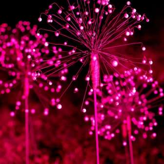 Blumen