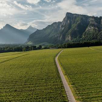 Bündner Herrschaft © Heidiland Tourismus