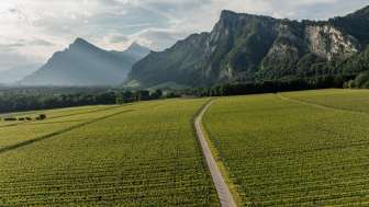 Bündner Herrschaft © Heidiland Tourismus