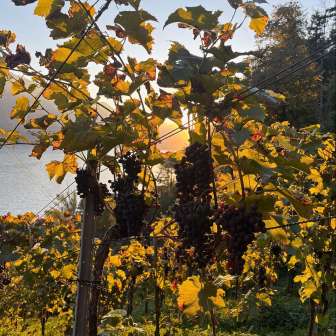 18bd45 c91e306cedd7444b881786a0e1b4e6ca~mv2