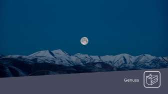 Mondschein Schneeschuhtour Sarganserland, lieblingsberge.ch