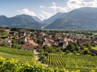 Weinberg, Rebberge, Fläsch, Herrschaft, Dorf, Bündner Herrschaft