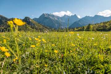 2025, Berge, Blumen, Blumenwies, Blumenwiese, Bündner Herrschaft, Frühling, Landschaft und Natur, Wolken