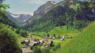 Alte Dorfsäge Weisstannen