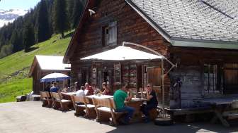 Alp Kohlschlag