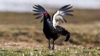 4 Vogelexkursion mit Christoph Meier 18 5 2017