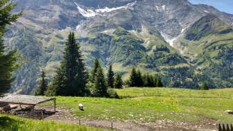 Malanseralp Malanseralp