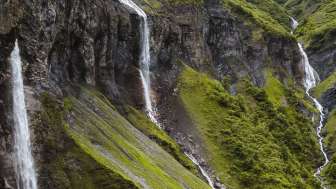 Weisstannen, Batöni, Weisstannental