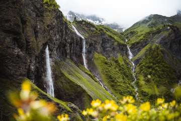 Weisstannen, Batöni, Weisstannental