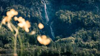 Ragnatscher Fall Ragnatscher Fall