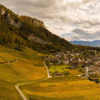 Weinberg Fläsch © Heidiland Tourismus