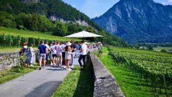 Malanser Weinpromenade