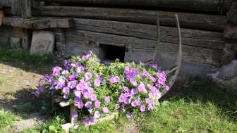 Familie Willi-Kühne