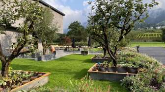 Weingut Fromm, Malans Weingut Fromm, Malans