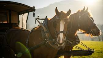 Rössliposcht Maienfeld Rössliposcht Maienfeld