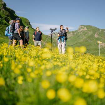 Murmeltiere beobachten © Kevin Wildhaber