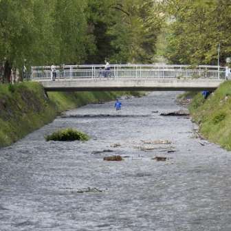 Maibär (4) Maibär (4)