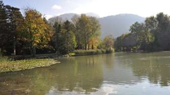 Fischen im Giessensee