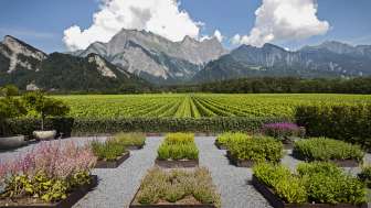 Weingut Davaz
