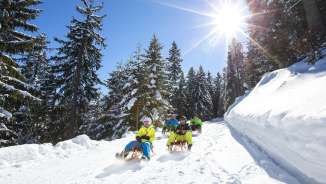 blauer Himmel, Gruppe, Pizol, Pizolbahnen, Schlitteln, Schlitten, Schlittenabfahrt, Schnee, Sonne, sonnig, Spass, Wald, Winterlandschaft, Wintertraum