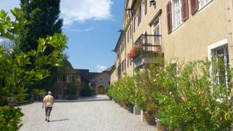 Schloss Salenegg
