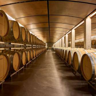 Wine cellar Davaz Winery © Weingut Davaz