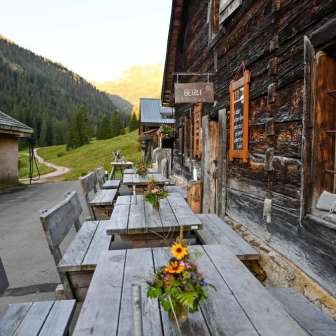 Alp Kohlschlag