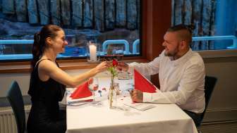 Candle Light Dinner 2026 07