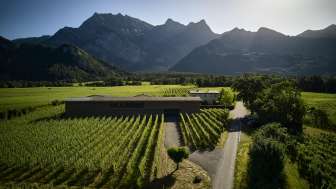 Weingut Davaz 
