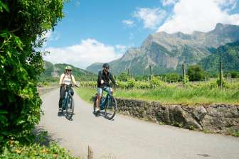Velofahrt durch die Rebberge © Kevin Wildhaber