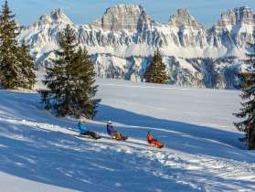 Prodalp, Schlitteln, Freunde, Schlittenabfahrt, abfahrt