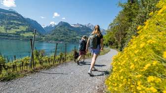 2025, Bäume, Berge, blau, Blumen, Freundinnen, Frühling, Gewässer, grün, Hund, Hundeleine, Quinten, See, Wald, Walensee, Wandern, Wasser, Weg, Wolken