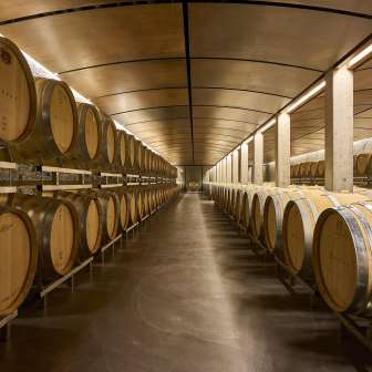 Weinkeller Weingut Davaz © Weingut Davaz