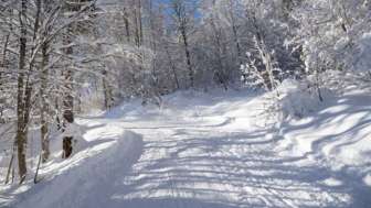 Schlittelbahn Schrina Schlittelbahn Schrina