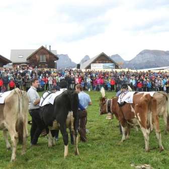 Kuhrennen Alpkaese b8a8a92e