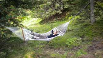 Hängematten-Wald