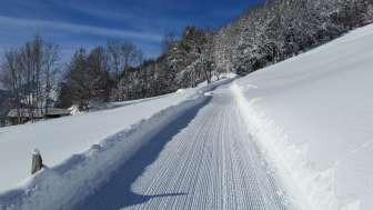 Schlittelbahn Schrina